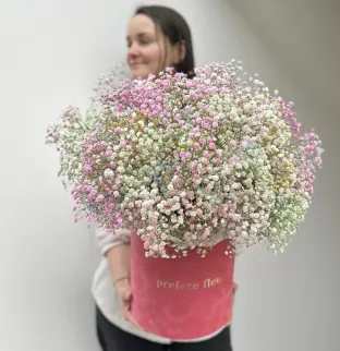 Gypsophila v krabici #4